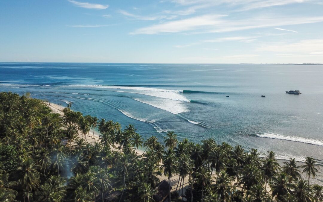 SurfGirl x Make A Wave: 3 Shredders