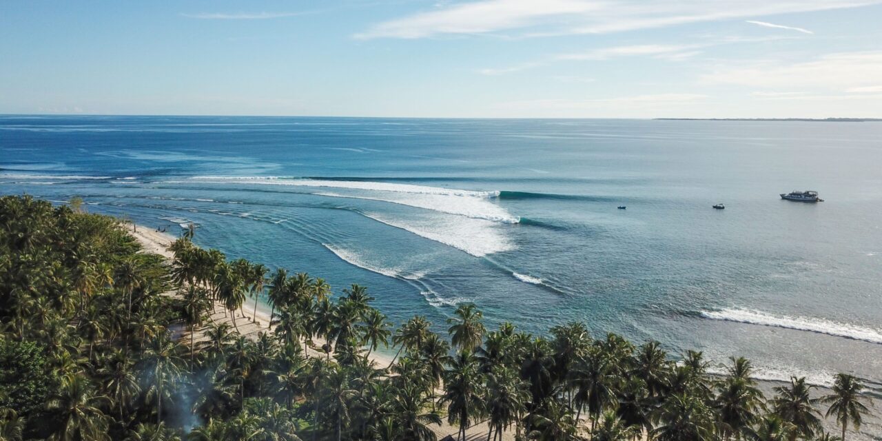 SurfGirl x Make A Wave: 3 Shredders