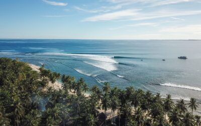SurfGirl x Make A Wave: 3 Shredders