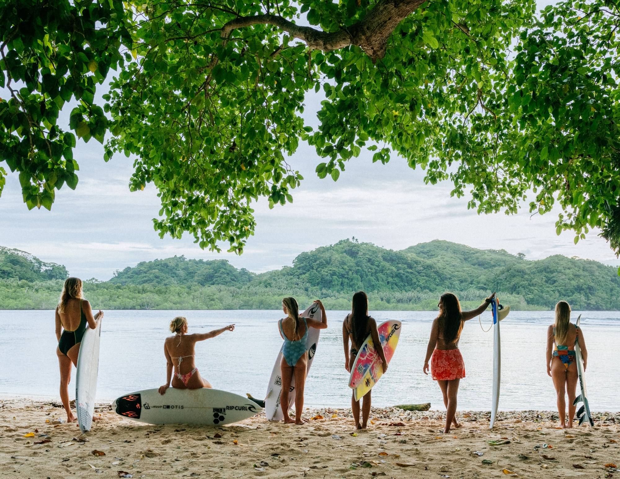 Six women with surfboards look out over a calm bay from the shade of a large tree on a tropical beach